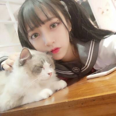 三国志海量版公益服下载